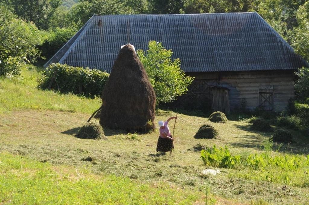 The Village Pension Breb Экстерьер фото